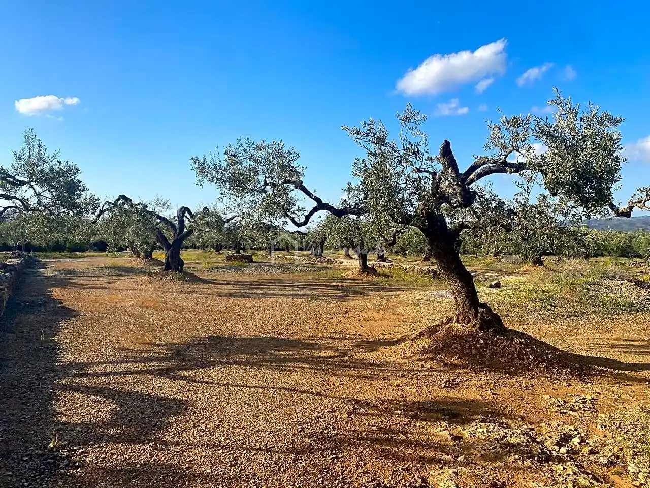 Terreno rustico in vendita a Burgà, imagen 15