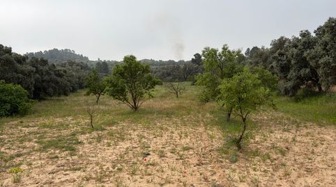 Parcela agrícola rústica en venta: un remanso de paz en el campo., immagine 2
