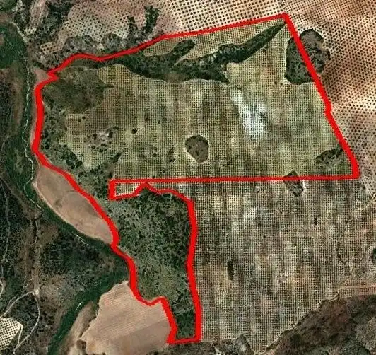 Land for sale in Gilena