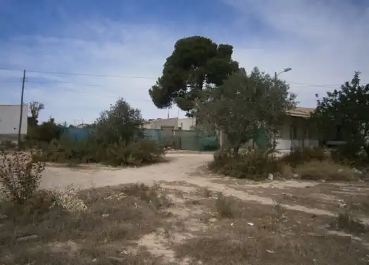 Land for sale in Elche / Elx