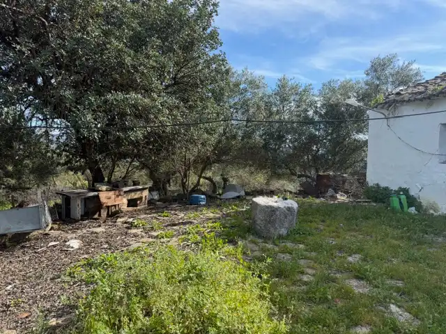 Land for sale in Ubrique