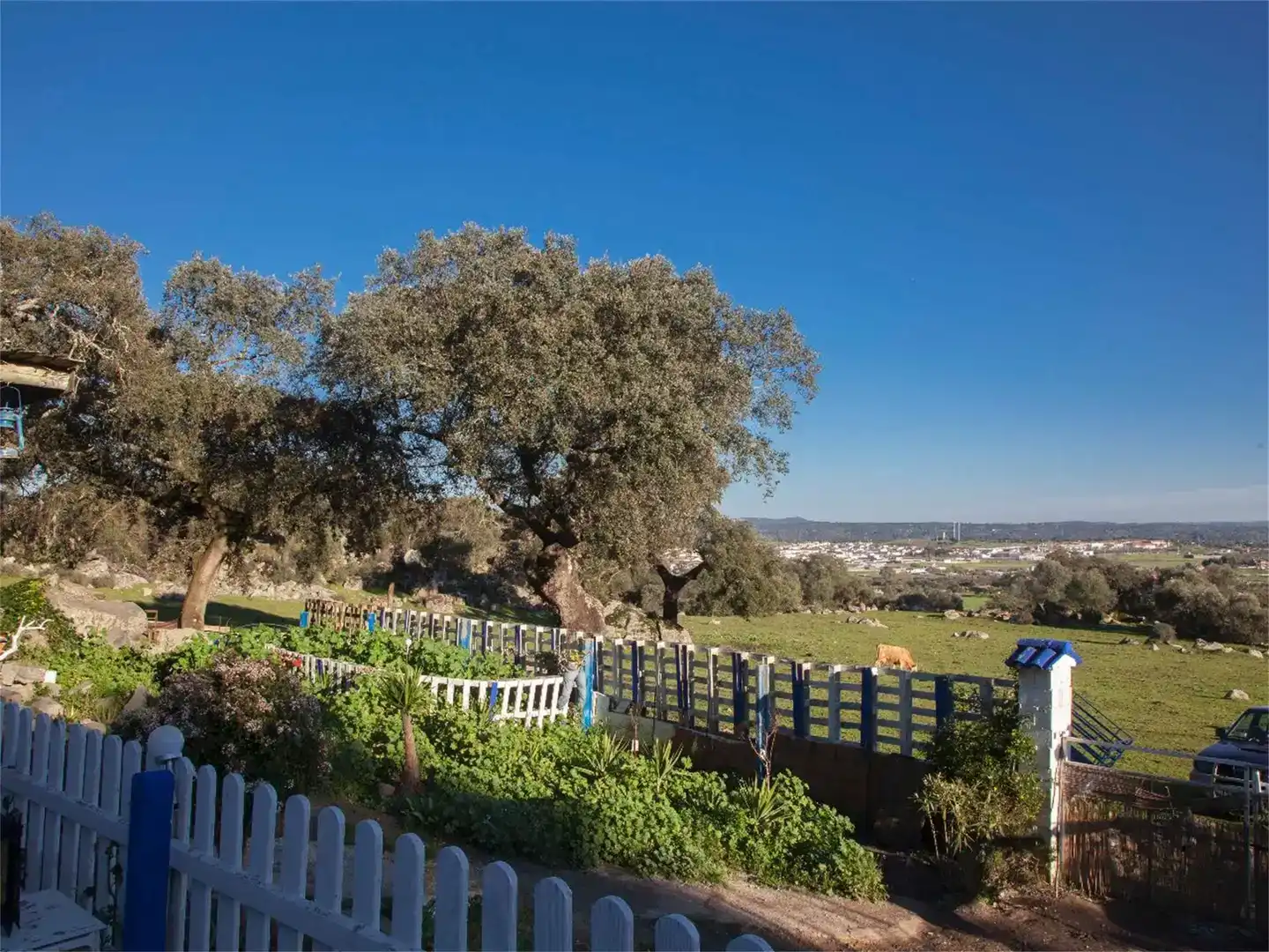 Garden of Land for sale in Burguillos del Cerro
