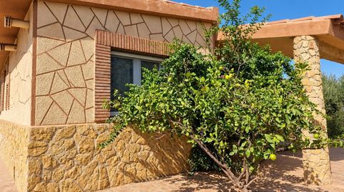 Entre olivos y tranquilidad tu refugio con encanto en Vilafamés, imatge 3