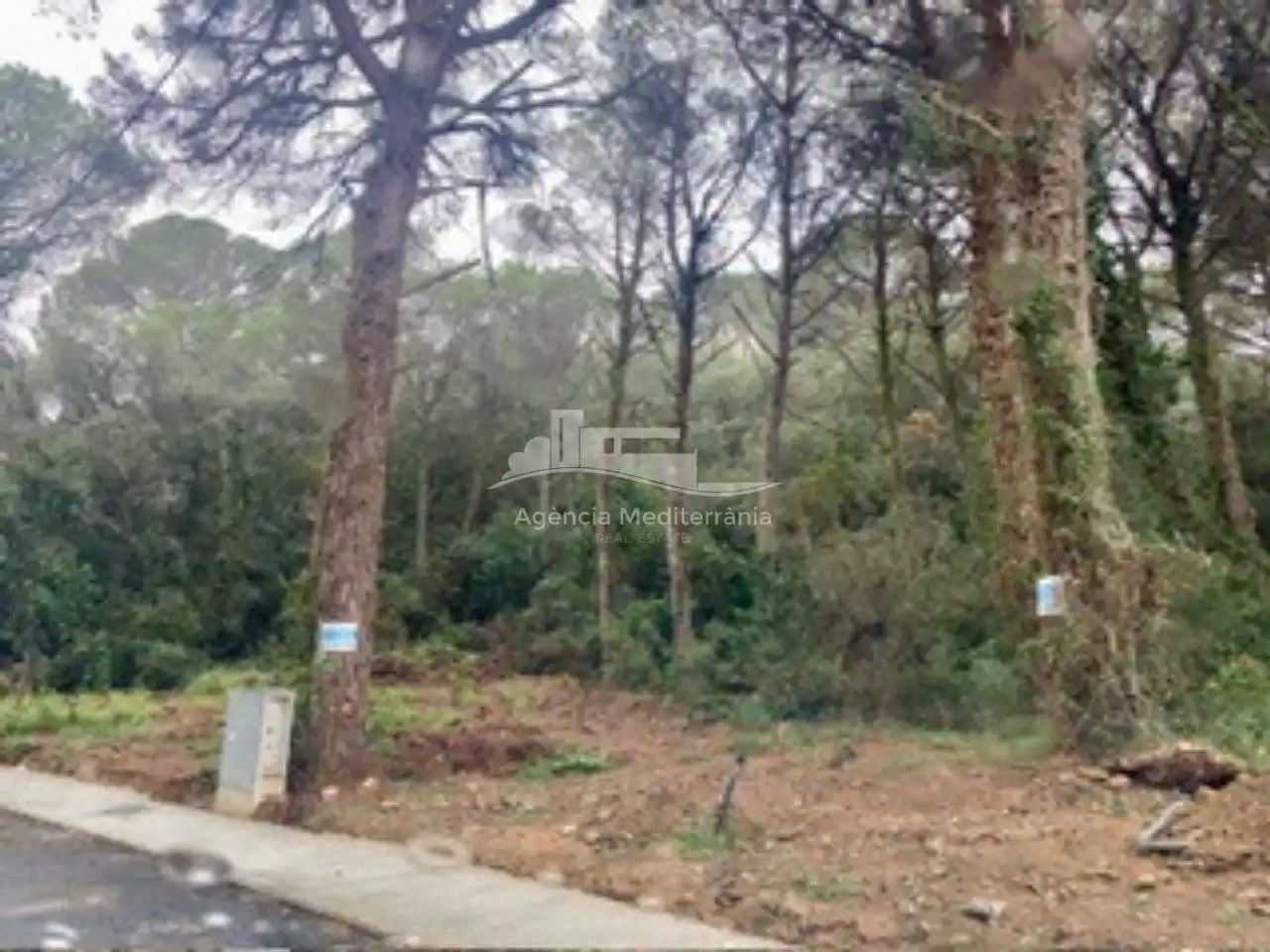 Terreno rústico en venta en Avenida Manxa, imagen 3