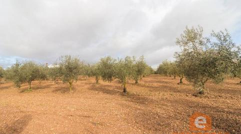 Photo 2 of Residential for sale in Ciudad Jardín, Badajoz