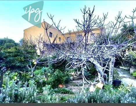 Jardí de Casa o xalet en venda en Tarifa amb Jardí privat i Terrassa