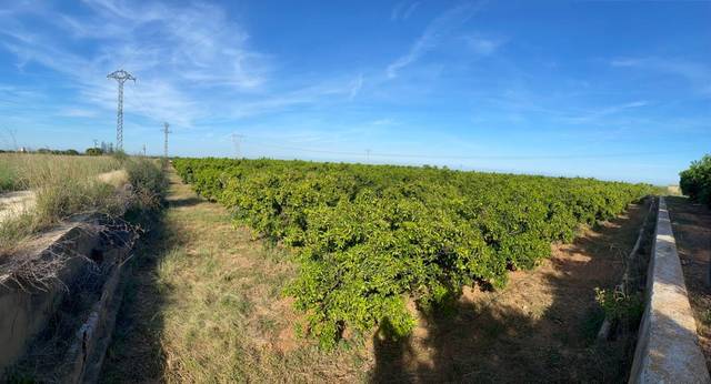 Terreno en Venta en Diseminado Poligon 48 en Picassent