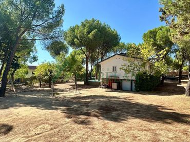 Xalet amb jardí en venda a Calle Tijuana