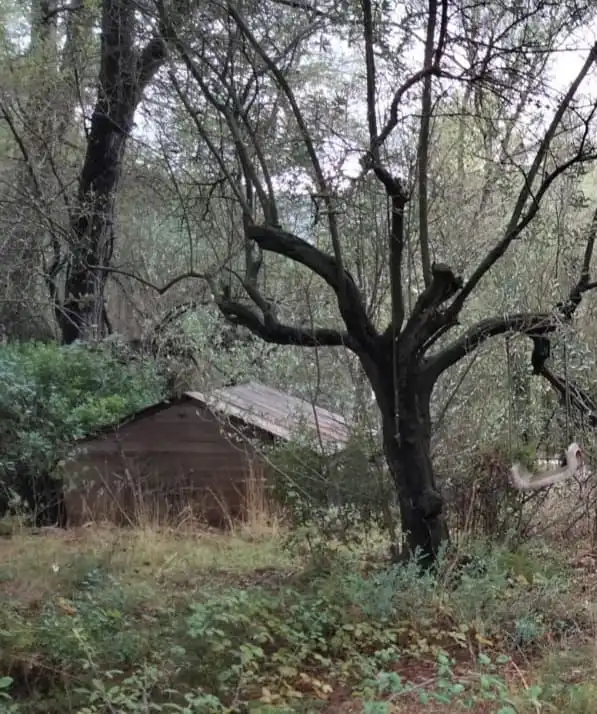 Rural land for sale in Vilallonga / Villalonga