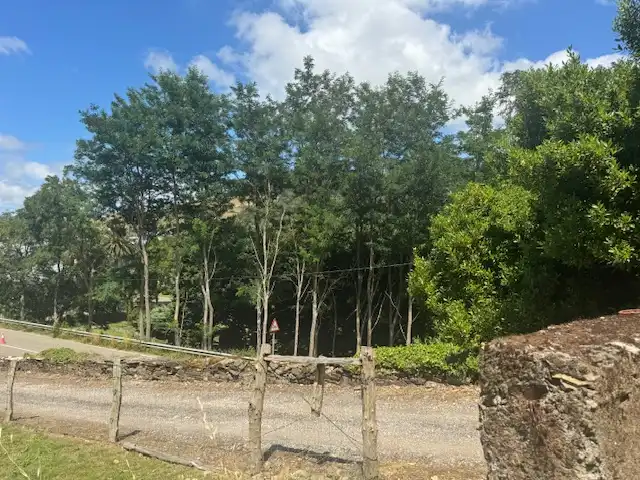 Casa rustica in vendita a N-640, imagen 32