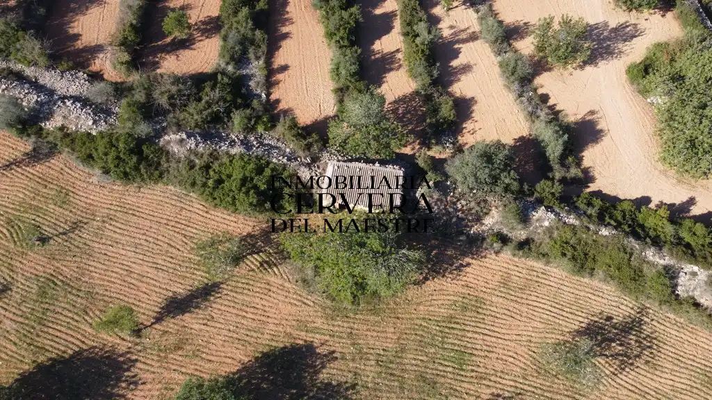 Terreno rustico in vendita a Cervera del Maestre, imagen 11