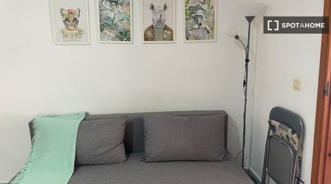 Foto 5 de Estudi per a compartir a Avenida Habaneras - Curva de Palangre, Torrevieja