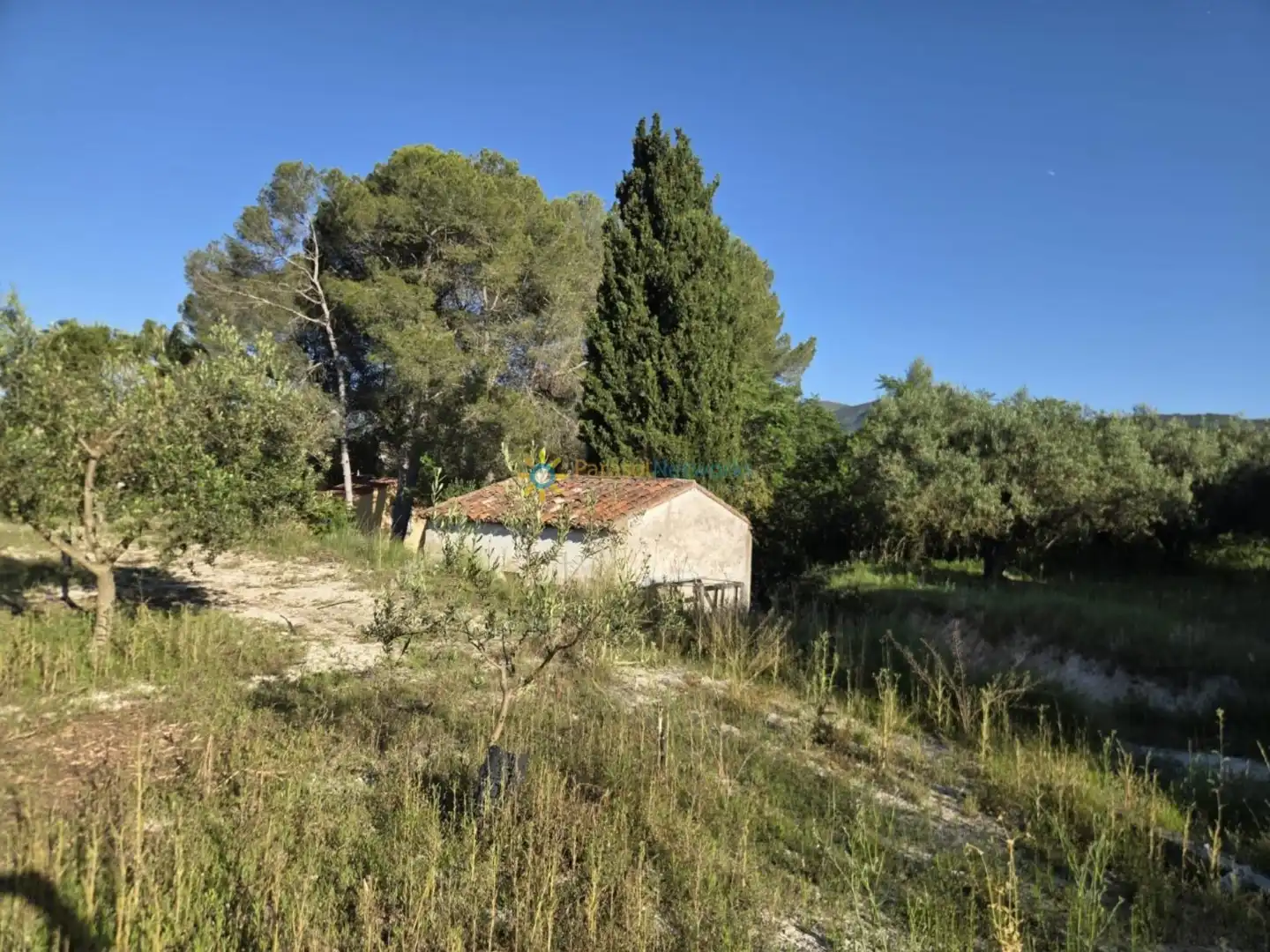 Terreno rustico in vendita a Bélgida, imagen 2