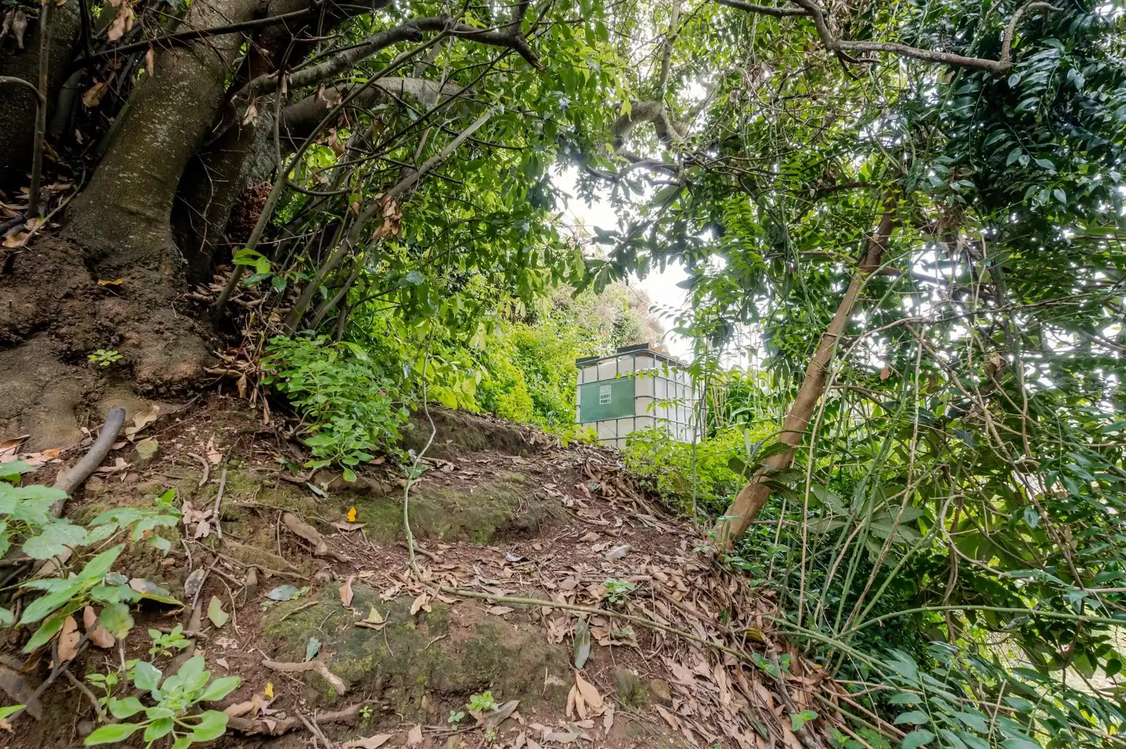 Exterior view of Land for sale in Teror