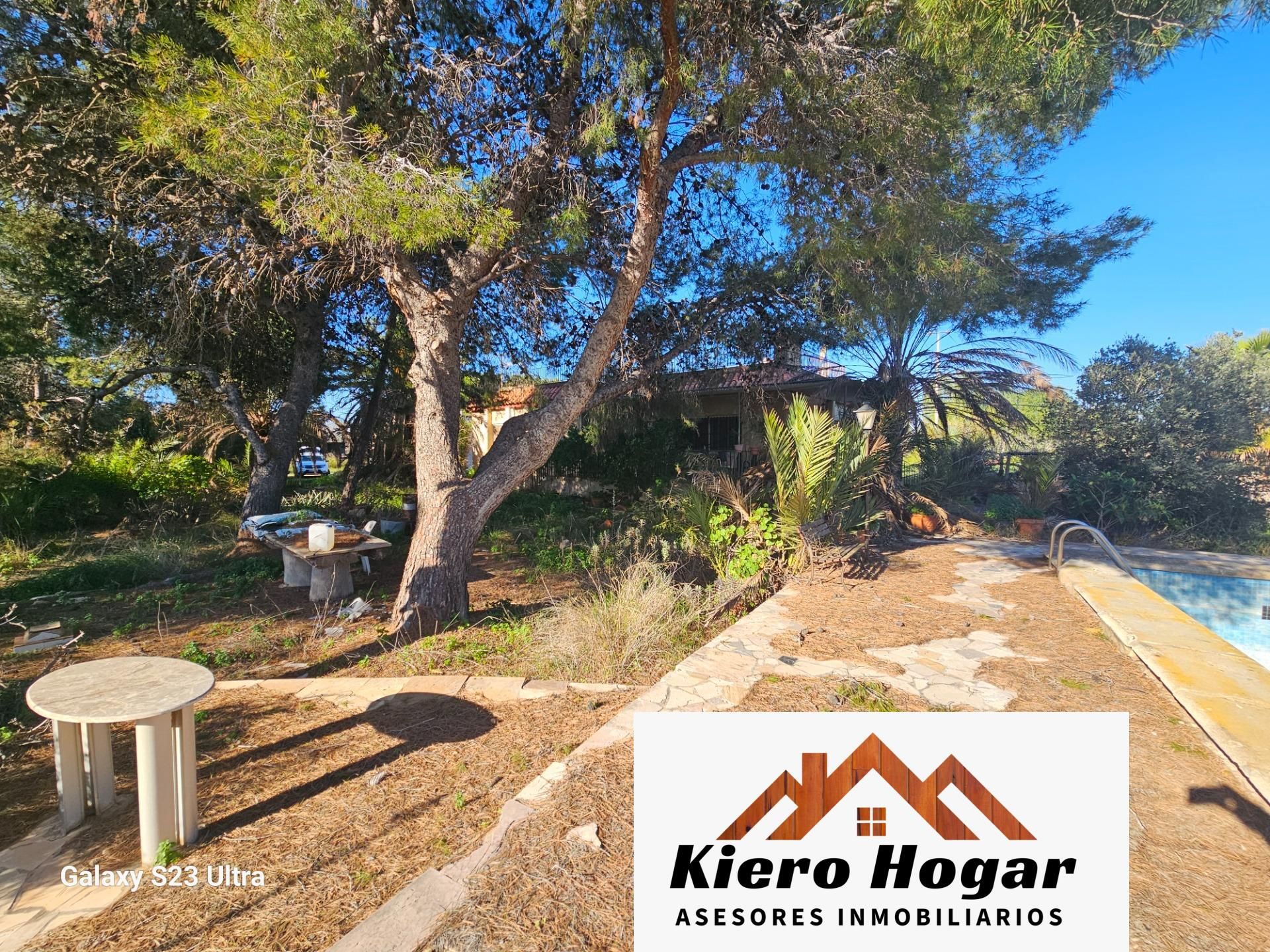 Vista exterior de Casa o chalet en venta en Elche / Elx con Piscina