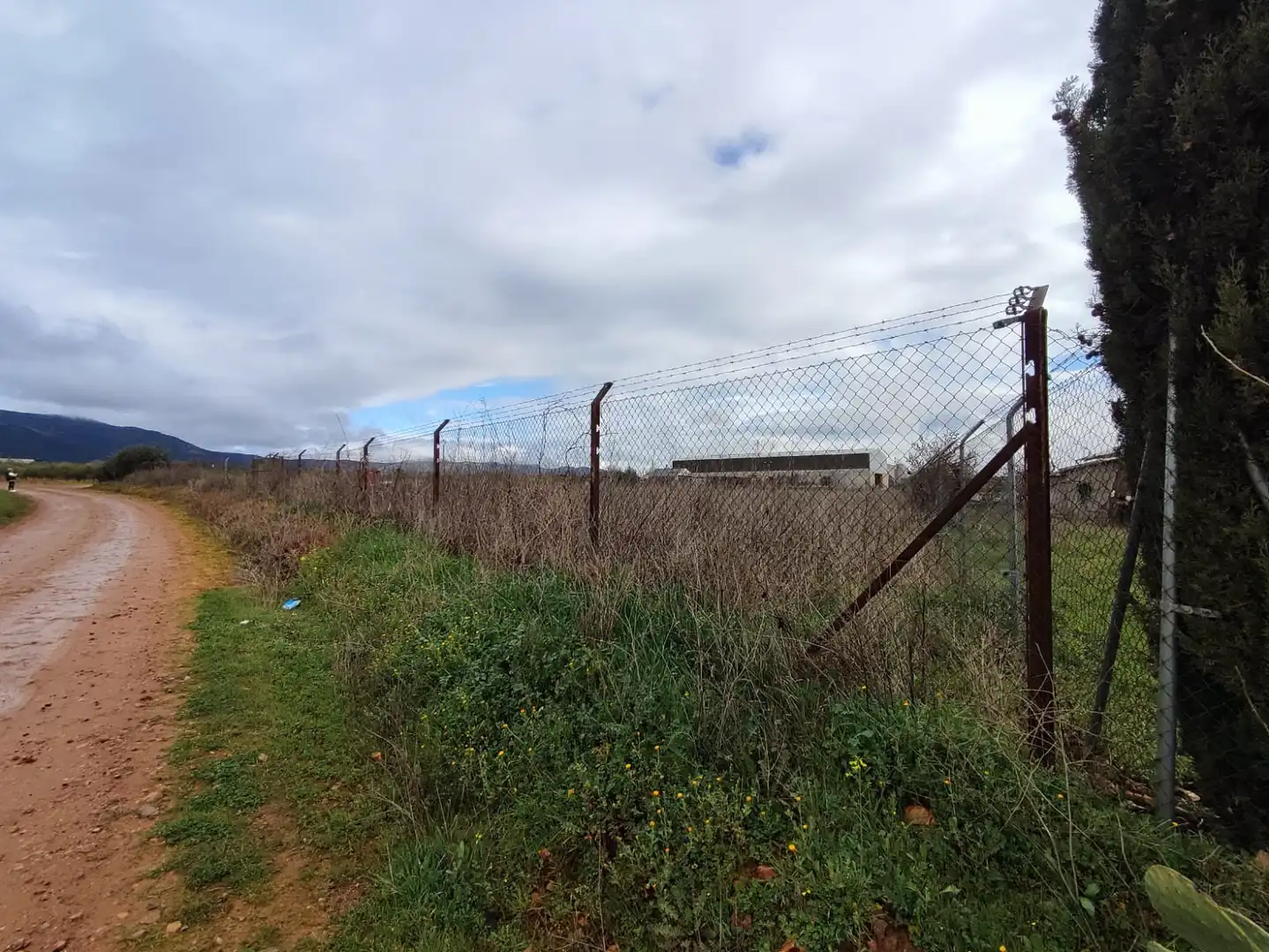 Terreno rustico in vendita a Villarrubia de los Ojos, imagen 10