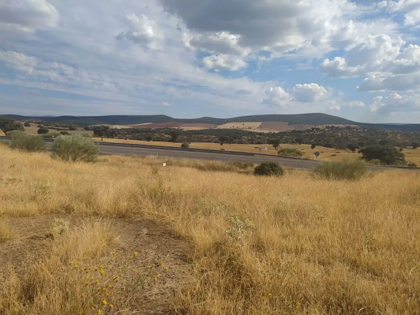 Rural land for sale in CM-4111 49, imagen 3