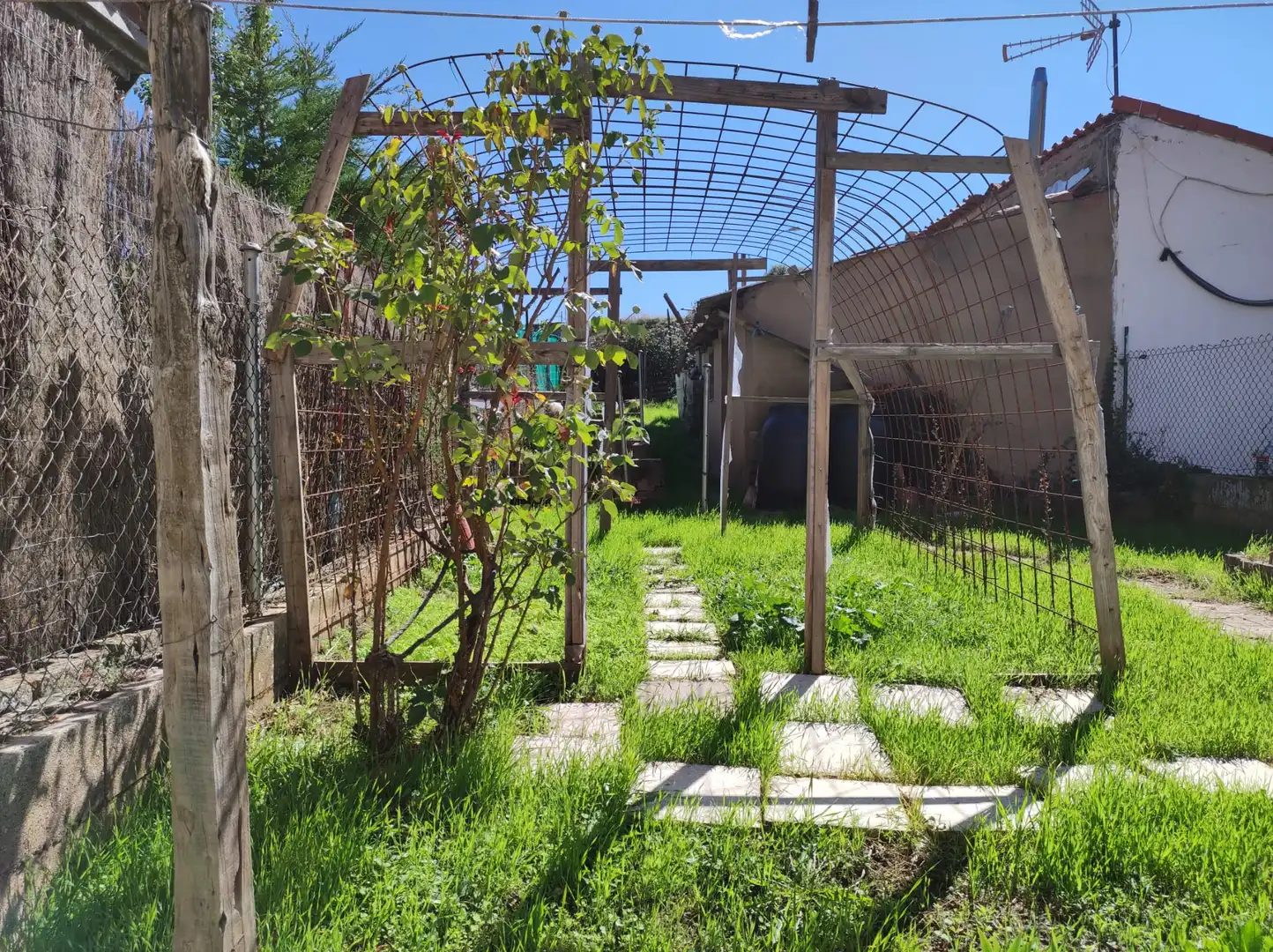 Casa o chalet en venta en Calle del Camino de los Toros, Calaverón - Pajaritos