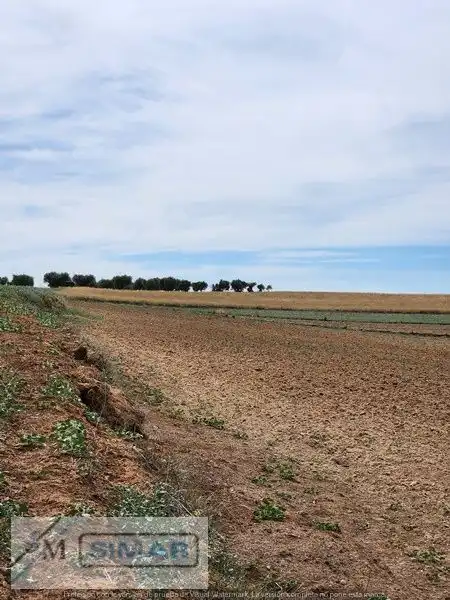 Rustikales Grundstück zum Verkauf in Calle Barriada del Santo, imagen 3