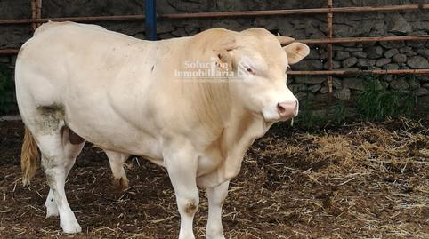 Photo 4 of Land for sale in Barrio del Centro, Salamanca