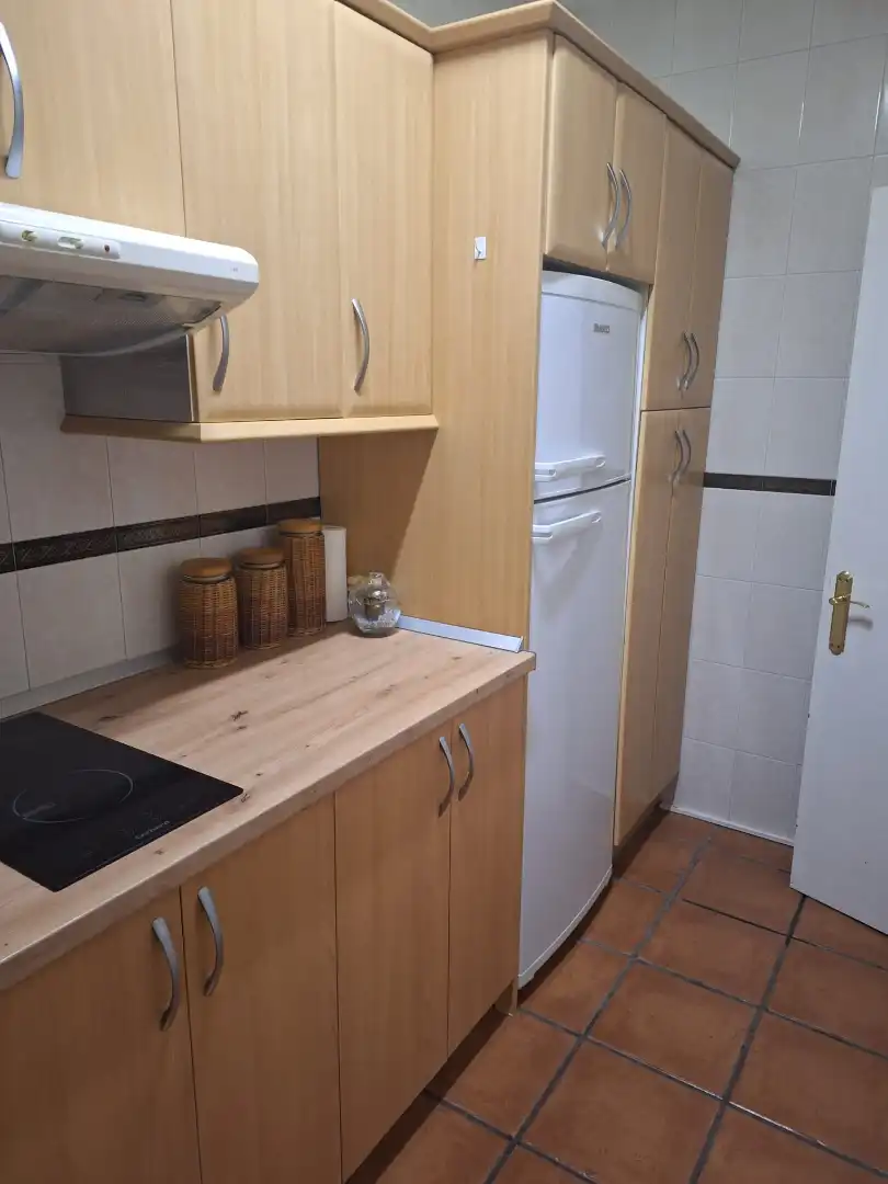 Kitchen of Apartments for rent in Las Palmas de Gran Canaria  with Parquet flooring, Furnished and Washing machine