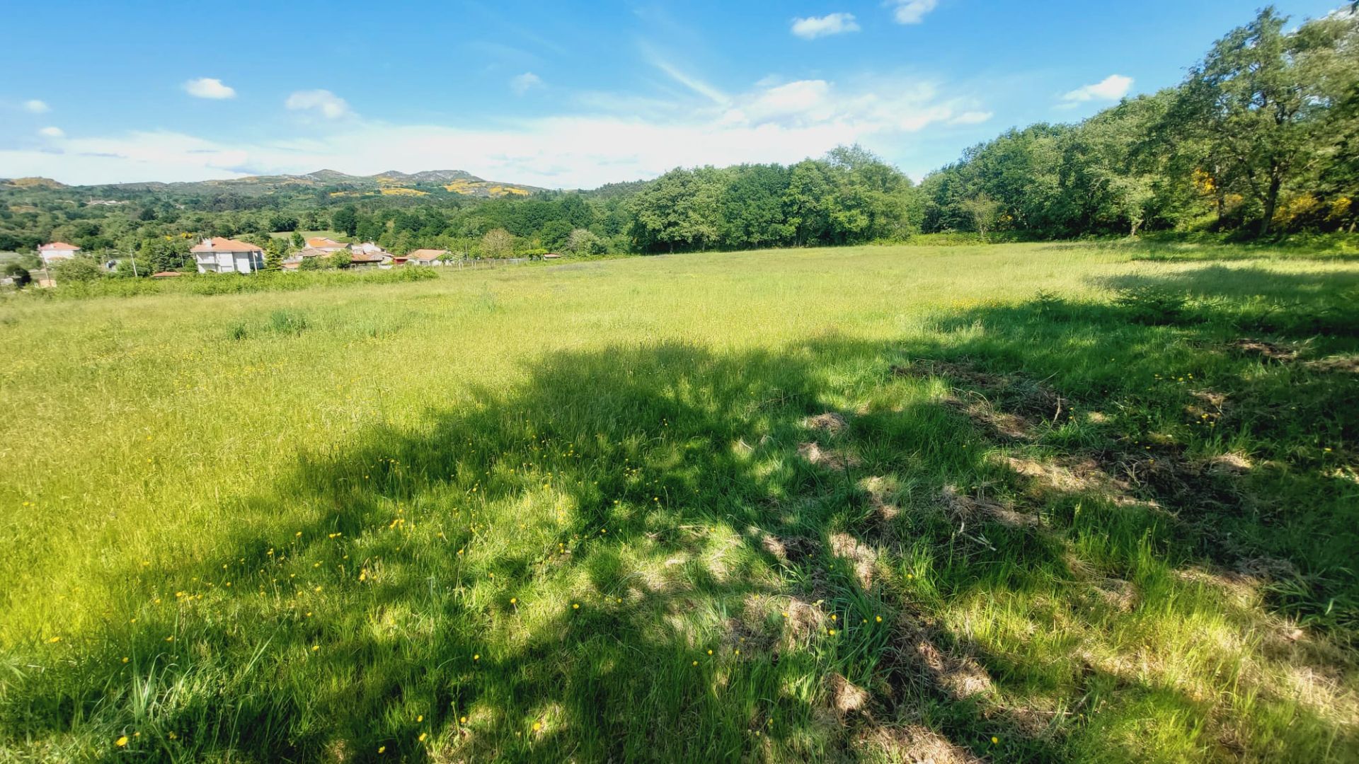 Residential for sale in Celanova