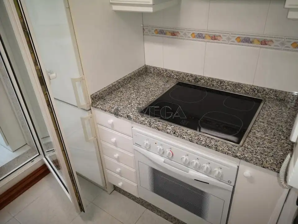 Kitchen of Apartments for rent in Centro Urbano