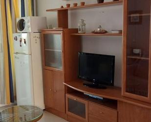 Sala d'estar de Apartament de lloguer en Benalmádena amb Aire condicionat, Moblat i Forn