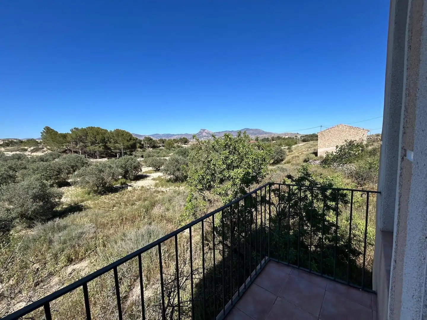 Casa rústica amb jardí en venda a Monóvar  / Monòver, imagen 38