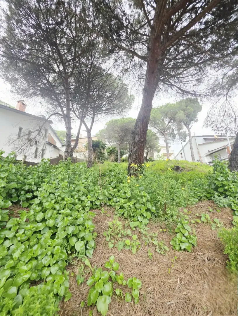 Terreny residencial en venda a Sant Fost de Campsentelles, imagen 7
