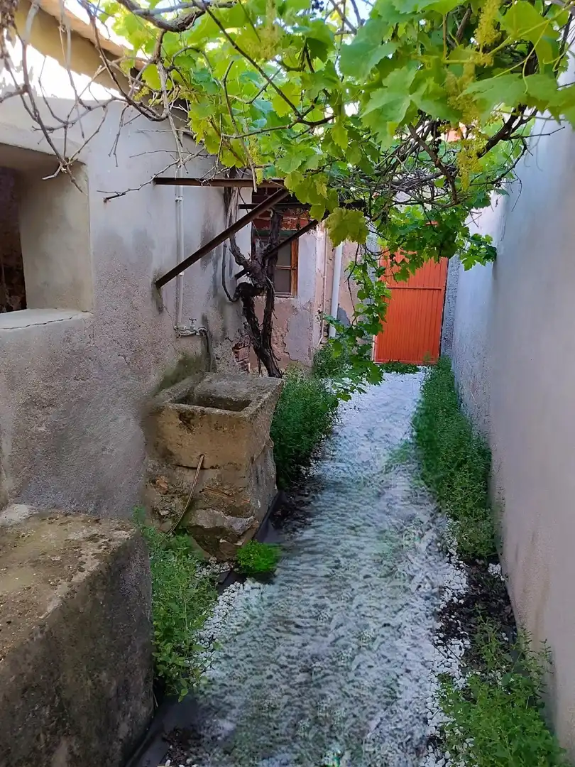 Vista exterior de Finca rústica en venda en Hondón de las Nieves / El Fondó de les Neus