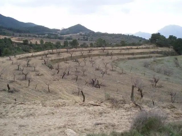 Rural land for sale in torremanzanas, imagen 4