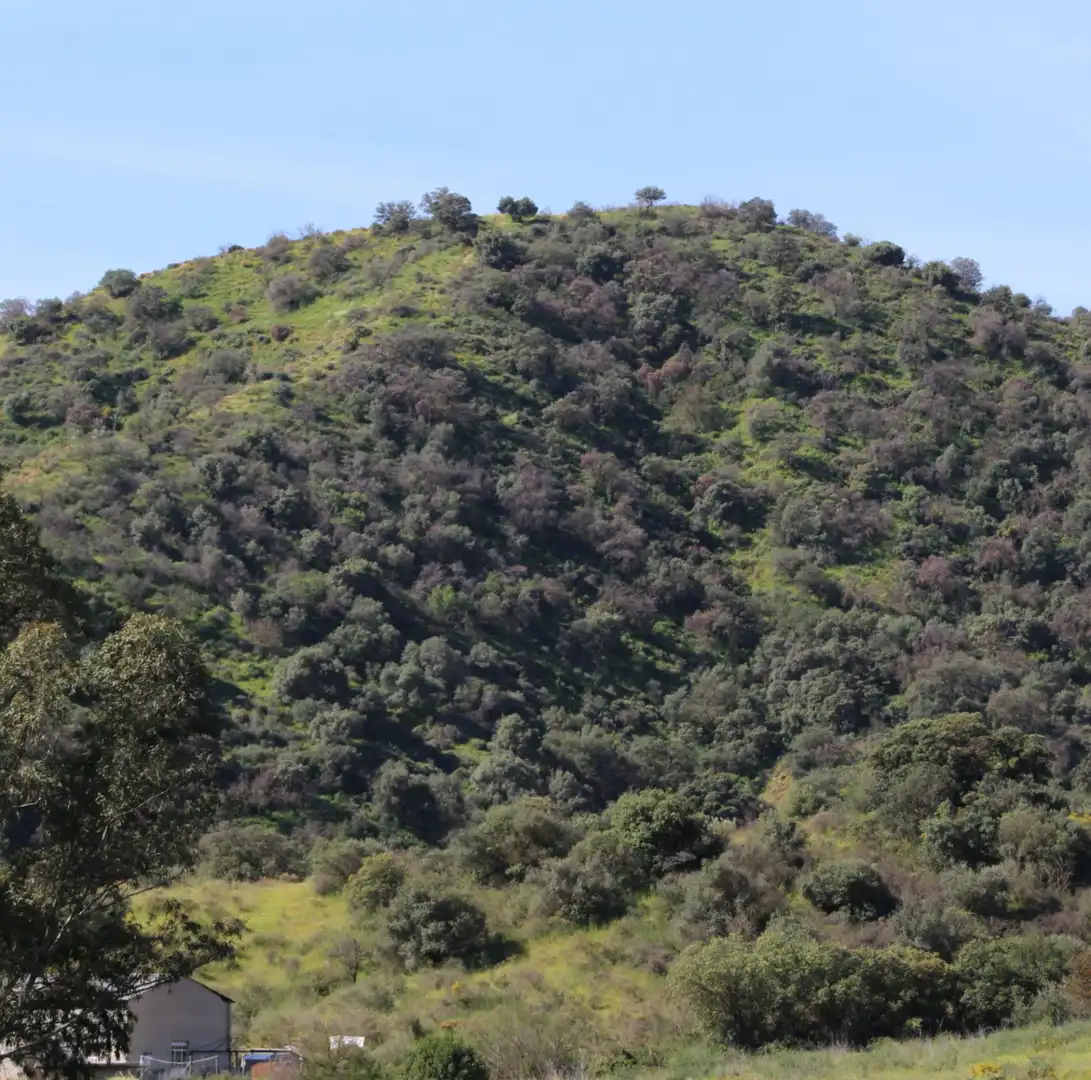 Terrenys i solars en venda a Coín, imagen 10
