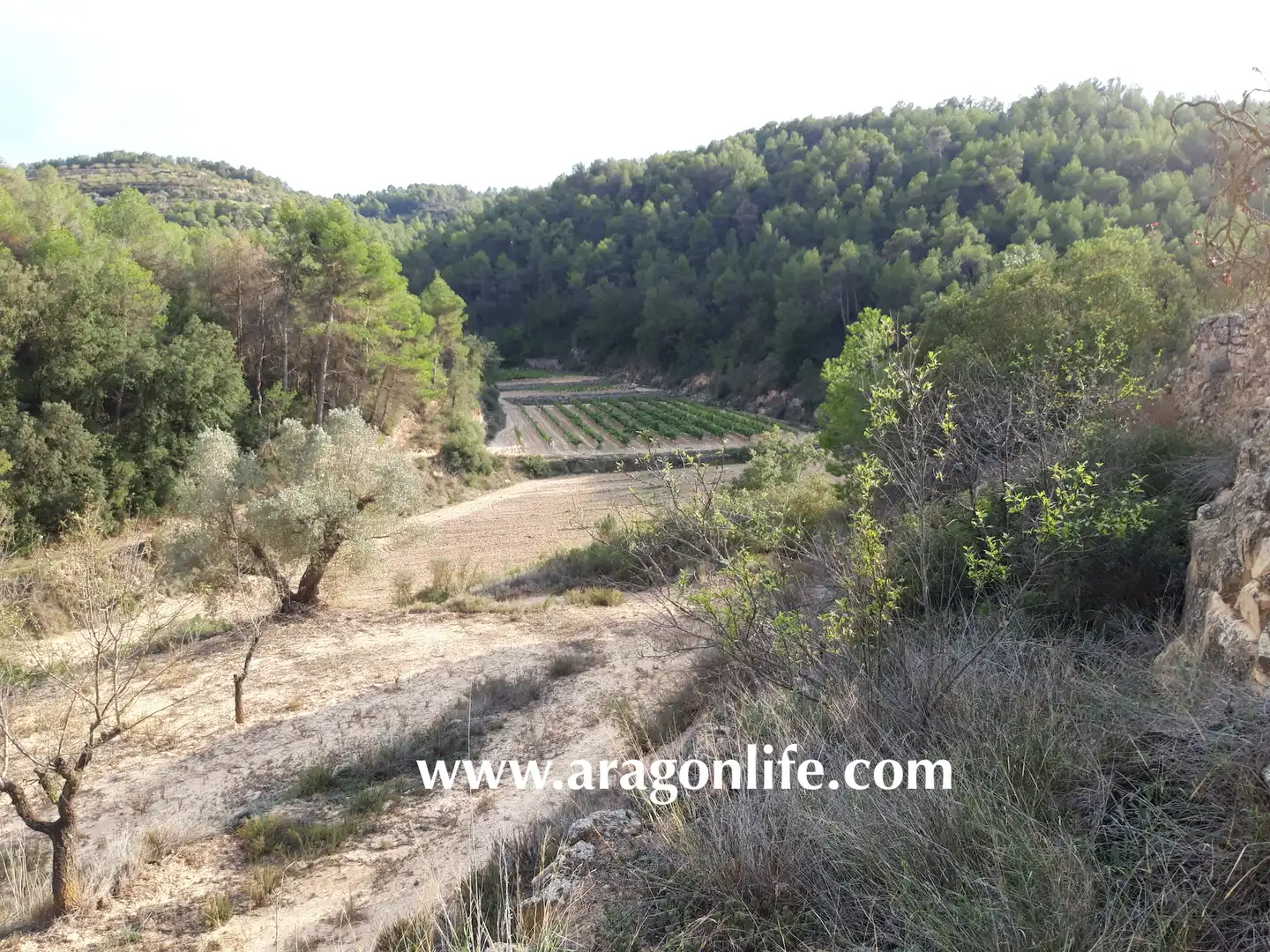 Finca rústica en venda en Caseres