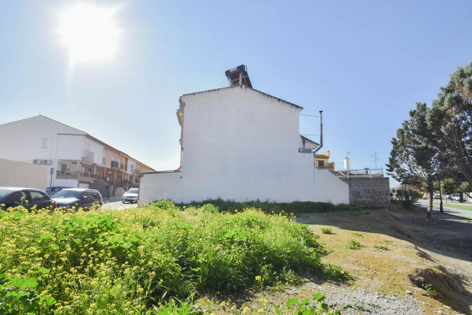 Vista exterior de Residencial en venta en Cúllar Vega