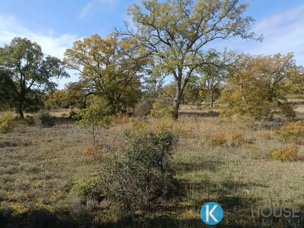 Land for sale in Pastrana