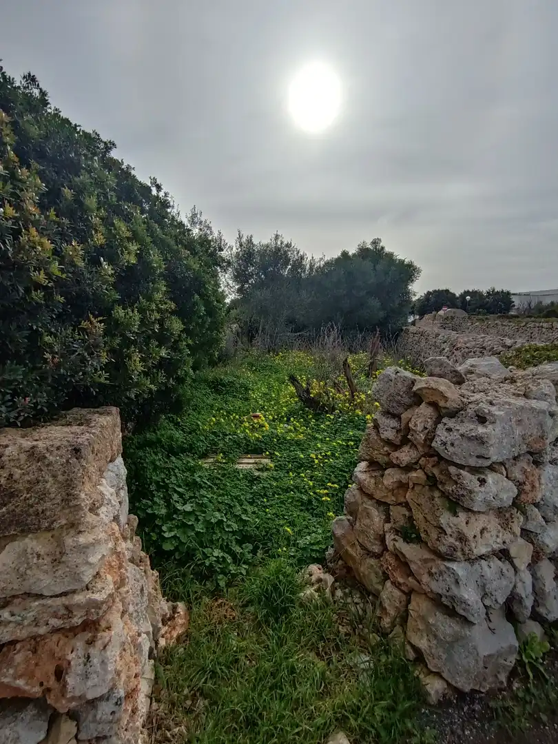 Rustikales Grundstück zum Verkauf in Sant Lluís - S'Ullestrar - Torret, imagen 9