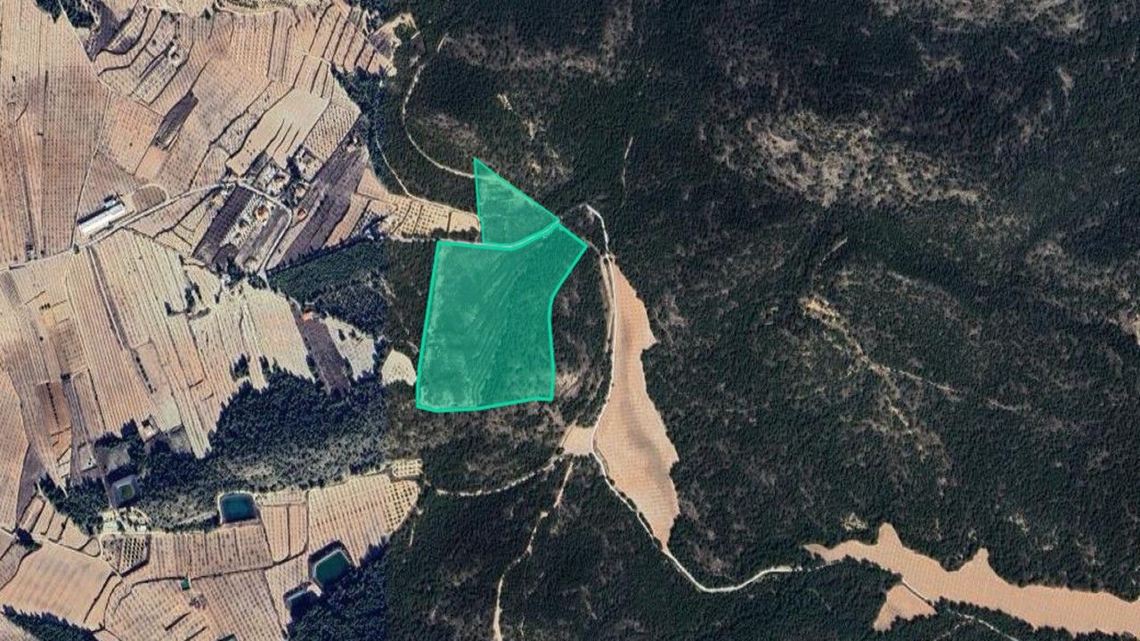 Land for sale in Pliego