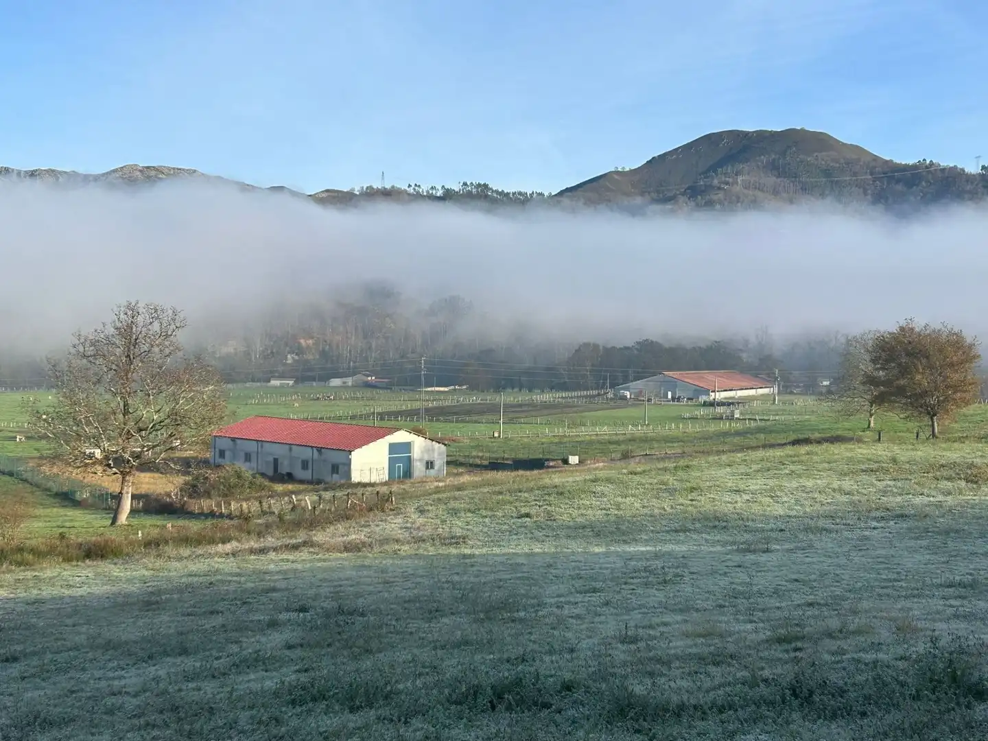 Vista exterior de Nave industrial en venta en Cangas de Onís