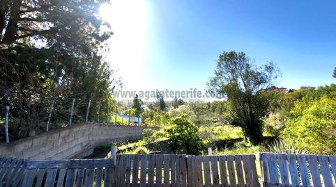 Foto 4 de Casa o chalet en venta en La Vega - El Amparo - Cueva del Viento, Icod de los Vinos