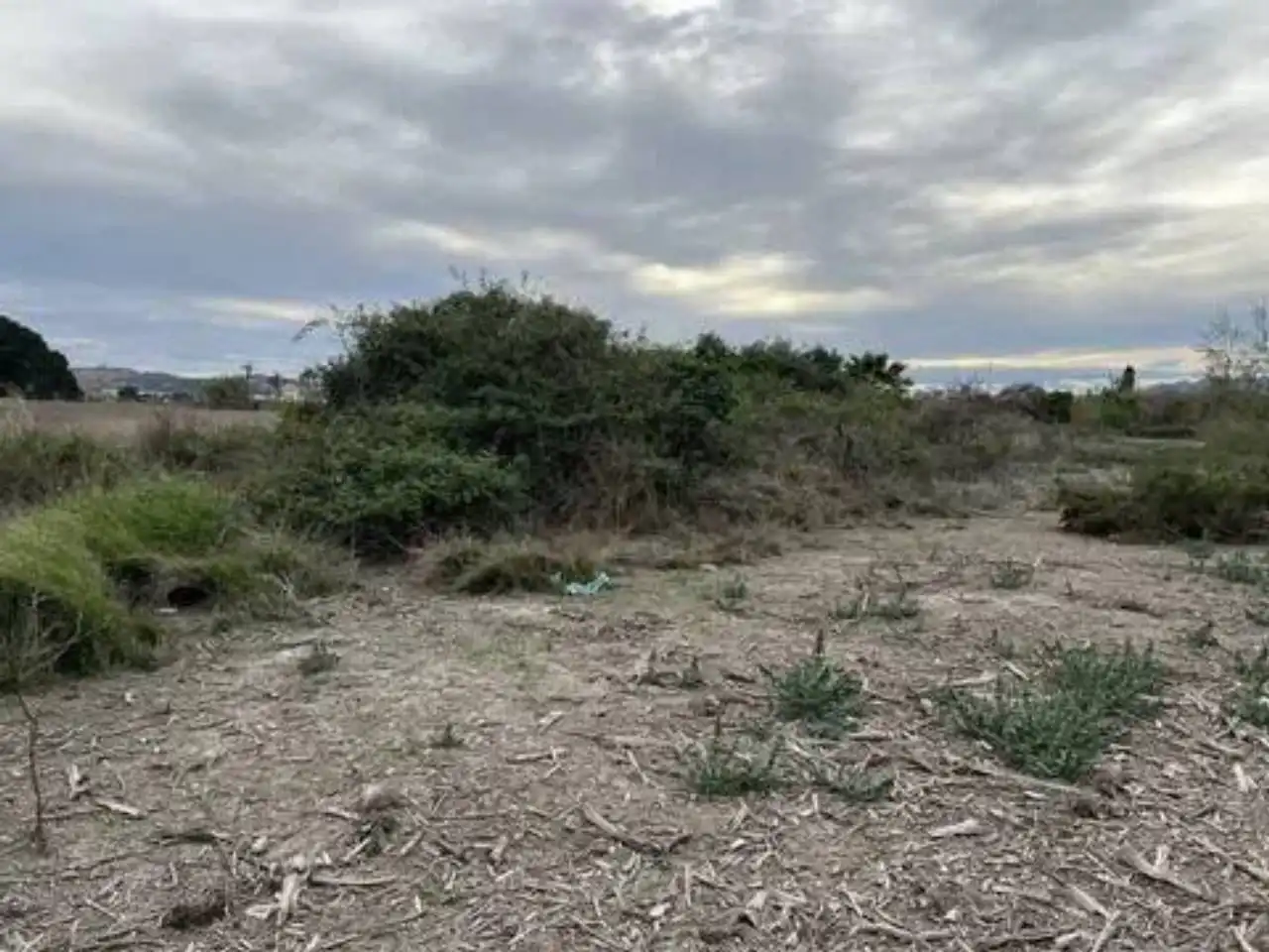Terreno residenziale in vendita a Almoradí, imagen 8