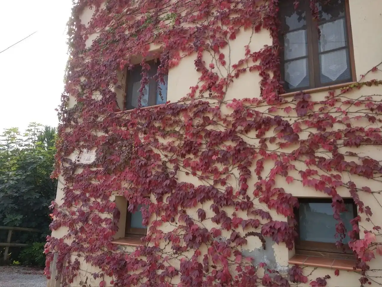 Vista exterior de Casa o xalet en venda en Vilanova de Bellpuig amb Calefacció, Jardí privat i Piscina