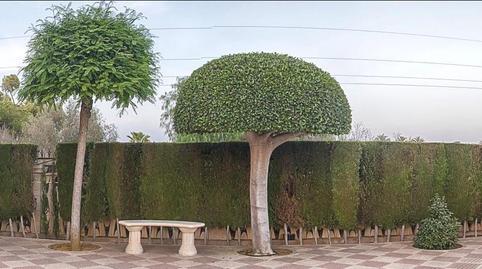 Photo 3 of House or chalet for sale in Pont Nou - Corazón de Jesús, Alicante