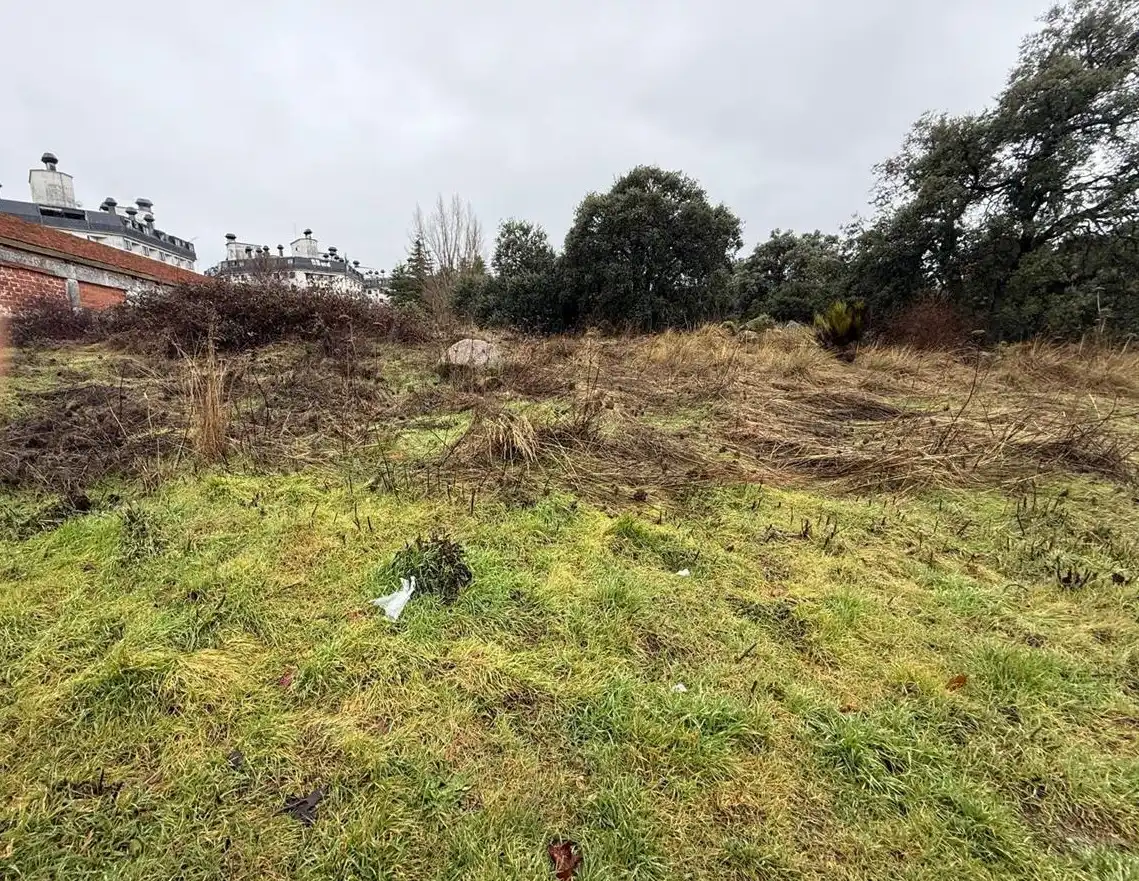 Terreno residenziale in vendita a Coimbra, imagen 4