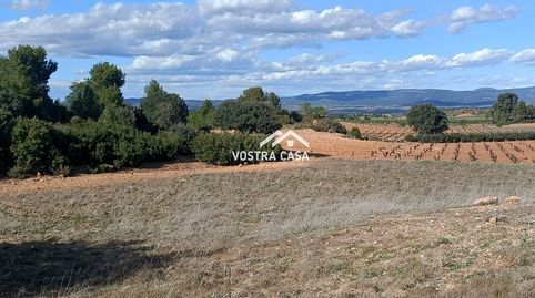 Foto 3 von Grundstücke zum Verkauf in Pozo Arangu, -1, Caudete de las Fuentes, Valencia