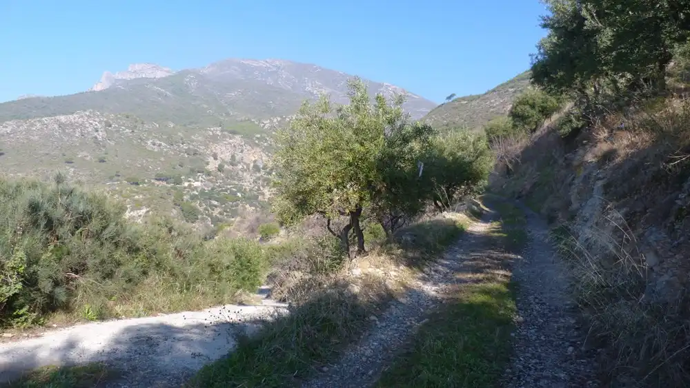 Terreni e lotti in vendita a Ítrabo, imagen 2