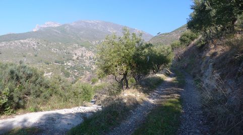 Immagine 2 dell'annuncio