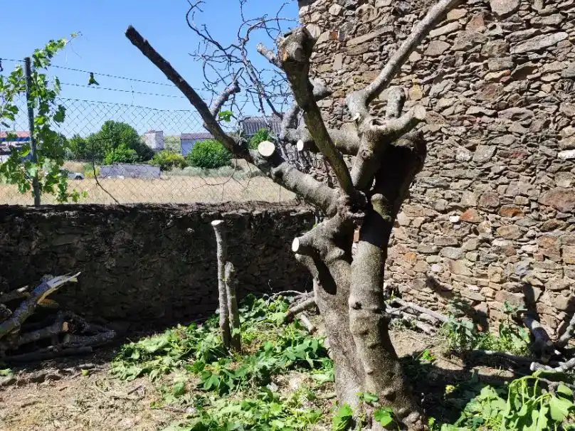 Jardí de Casa adosada en venda en Torrejón el Rubio
