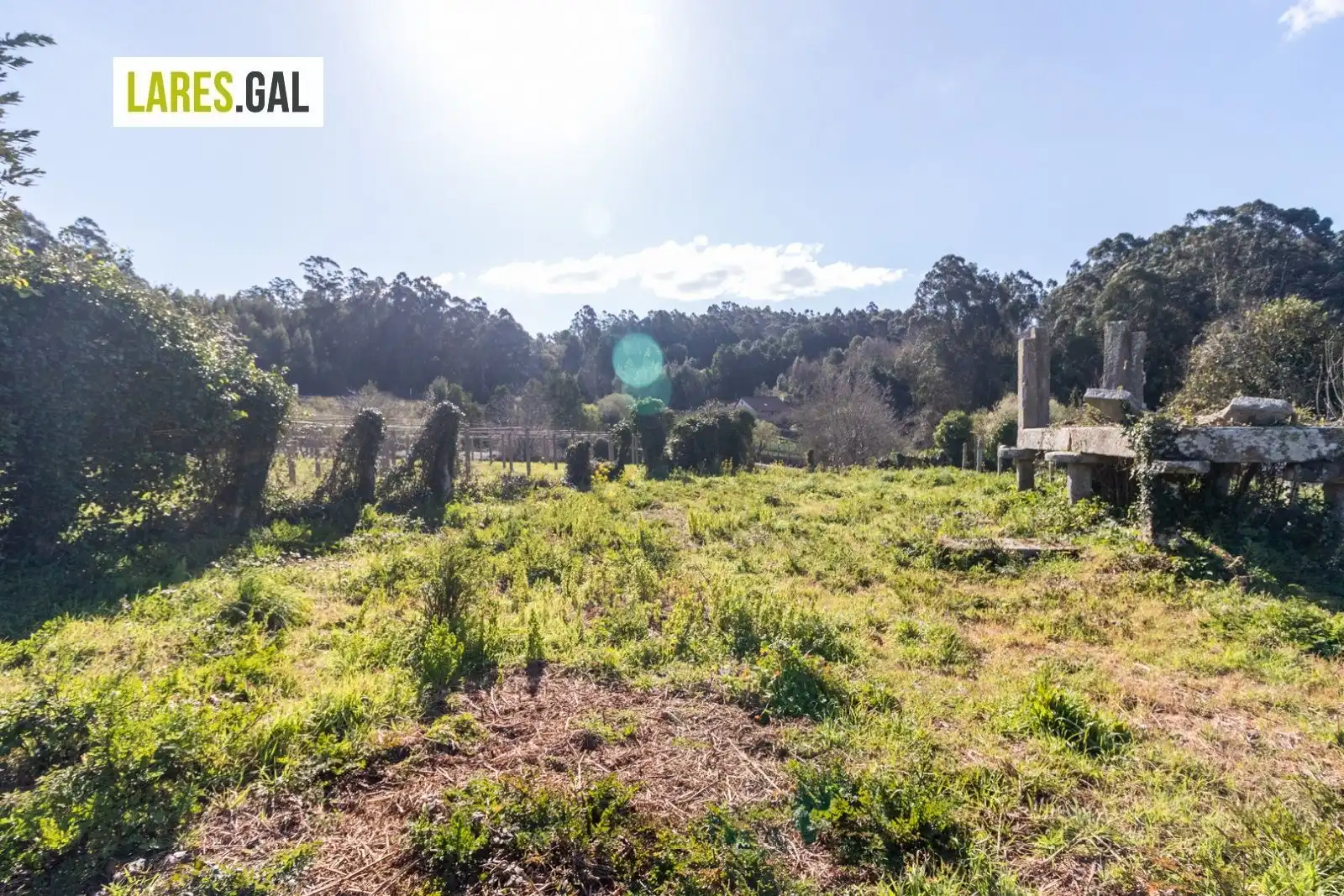 Terrain rustique à vendre à Ameixoada, imagen 14