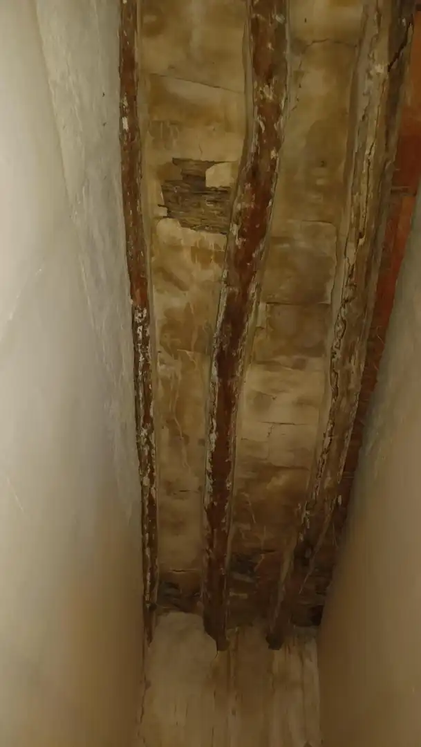 Casa o xalet en venda en Blanca amb Jardí privat